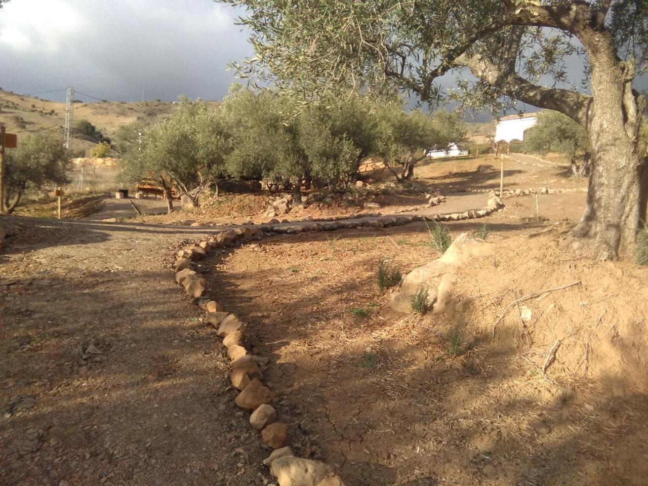 בית הארחה קאסברמחה 	Relente מראה חיצוני תמונה